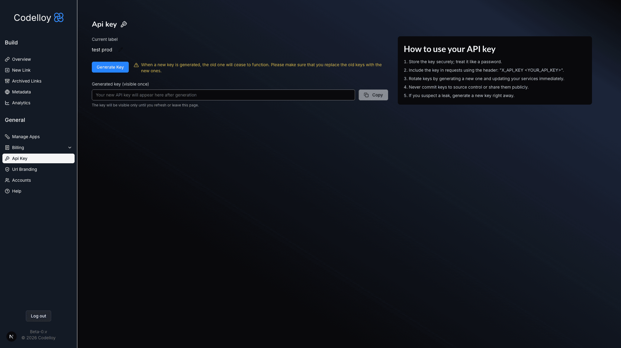 API Key page after generation showing the read-only key textbox and Copy button