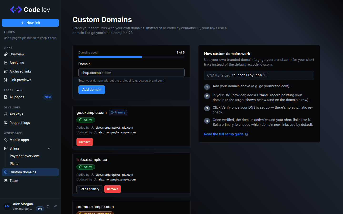 Adding a custom domain: the Domain input filled with a subdomain and the Add domain button, below the domain quota bar and above the existing domains