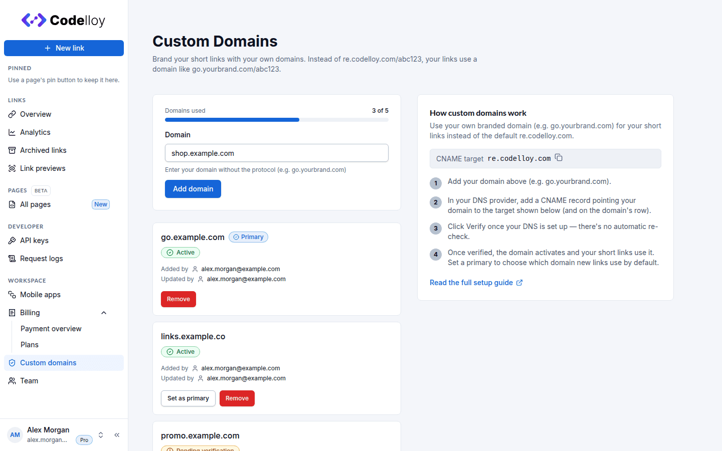 Adding a custom domain: the Domain input filled with a subdomain and the Add domain button, below the domain quota bar and above the existing domains