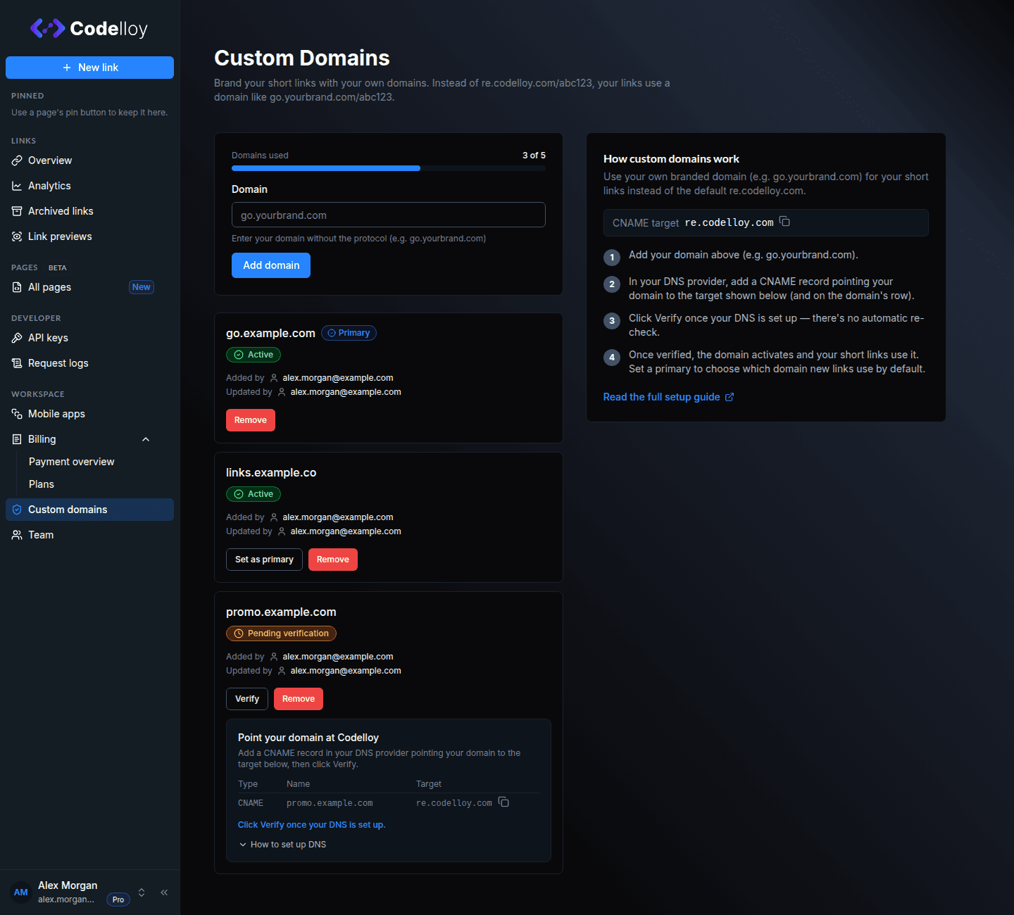 The Custom domains page: the domain quota bar and Add domain form, two Active domains with the primary one marked Primary, a Pending domain with a Verify button and CNAME setup instructions, and a side panel explaining how custom domains work
