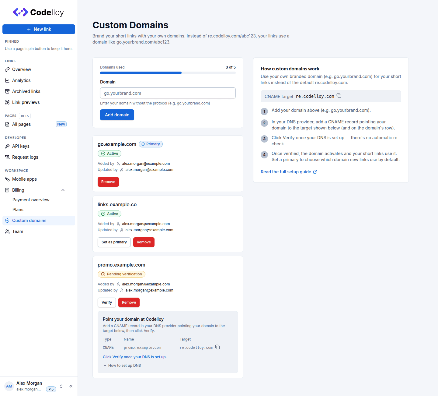 The Custom domains page: the domain quota bar and Add domain form, two Active domains with the primary one marked Primary, a Pending domain with a Verify button and CNAME setup instructions, and a side panel explaining how custom domains work